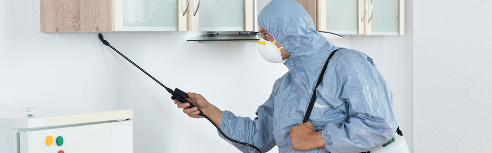 Residential Pest Control - Alpho Pest Control